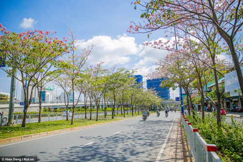 Việt Thiên Tâm