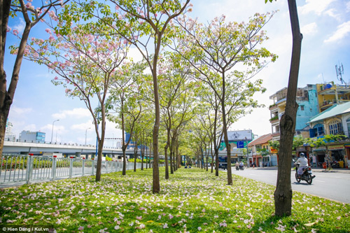 Việt Thiên Tâm