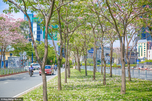 Việt Thiên Tâm