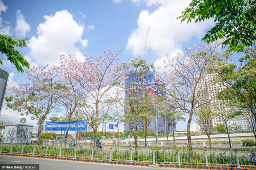 Việt Thiên Tâm