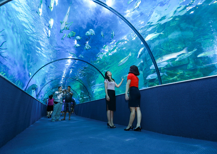 Việt Thiên Tâm