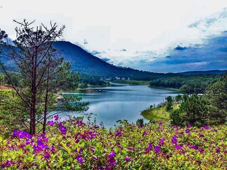 Việt Thiên Tâm