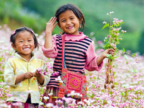 Việt Thiên Tâm