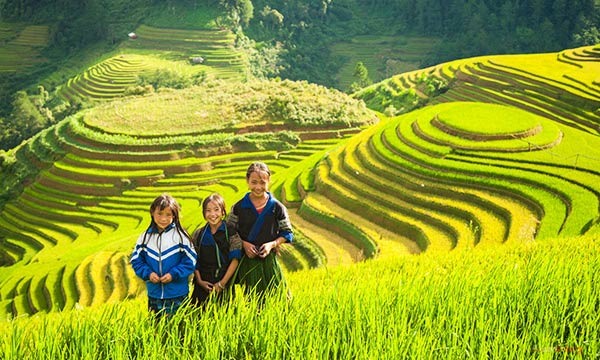 Việt Thiên Tâm