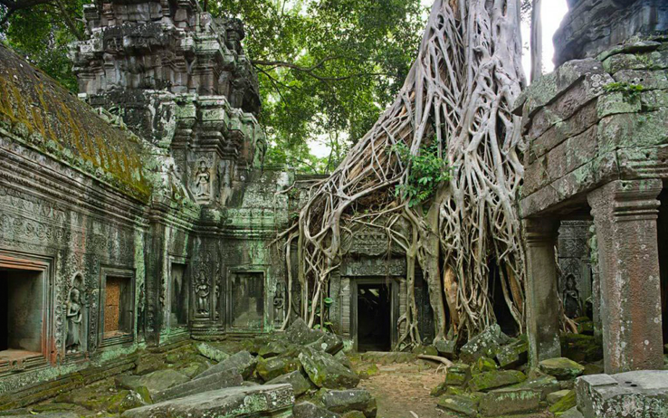 Việt Thiên Tâm