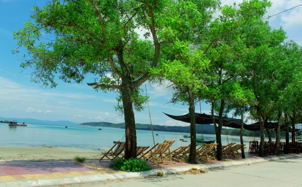 Việt Thiên Tâm