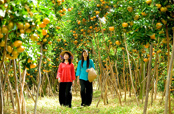 Việt Thiên Tâm