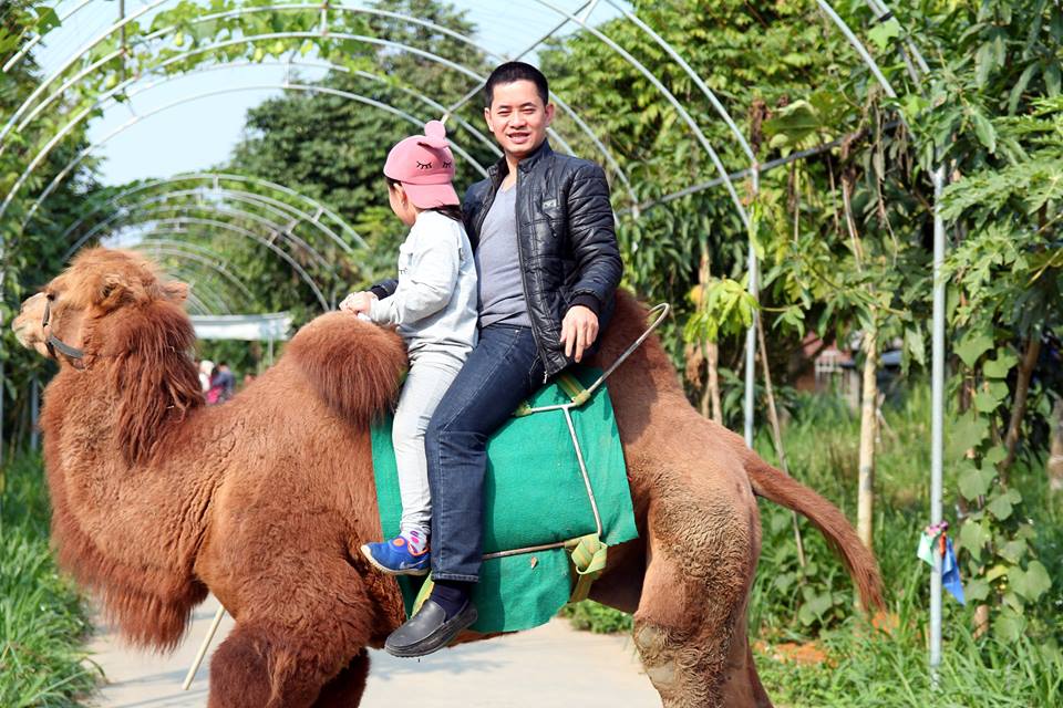 Việt Thiên Tâm