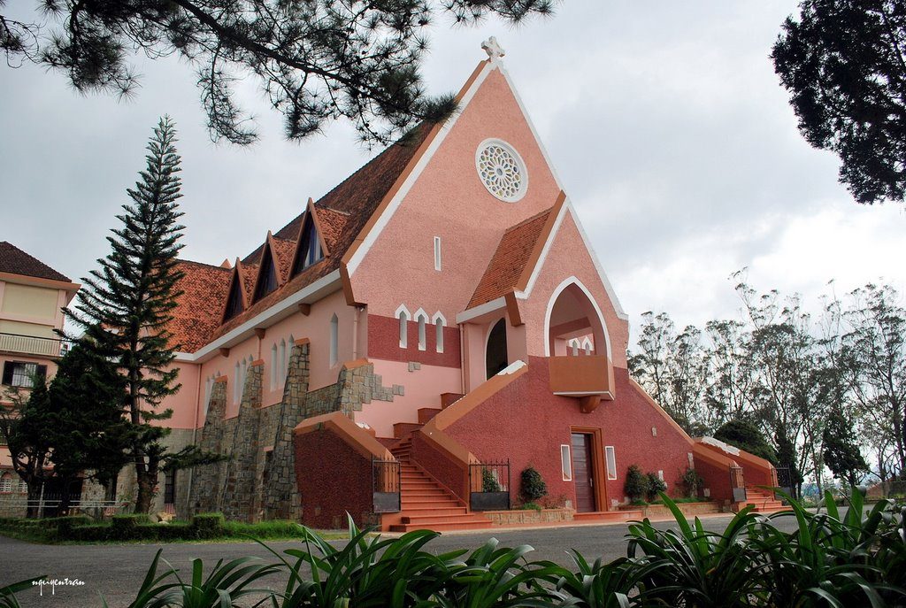 Việt Thiên Tâm