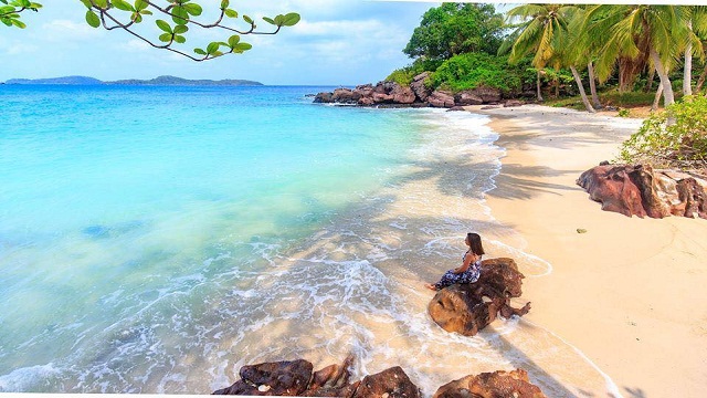 Việt Thiên Tâm