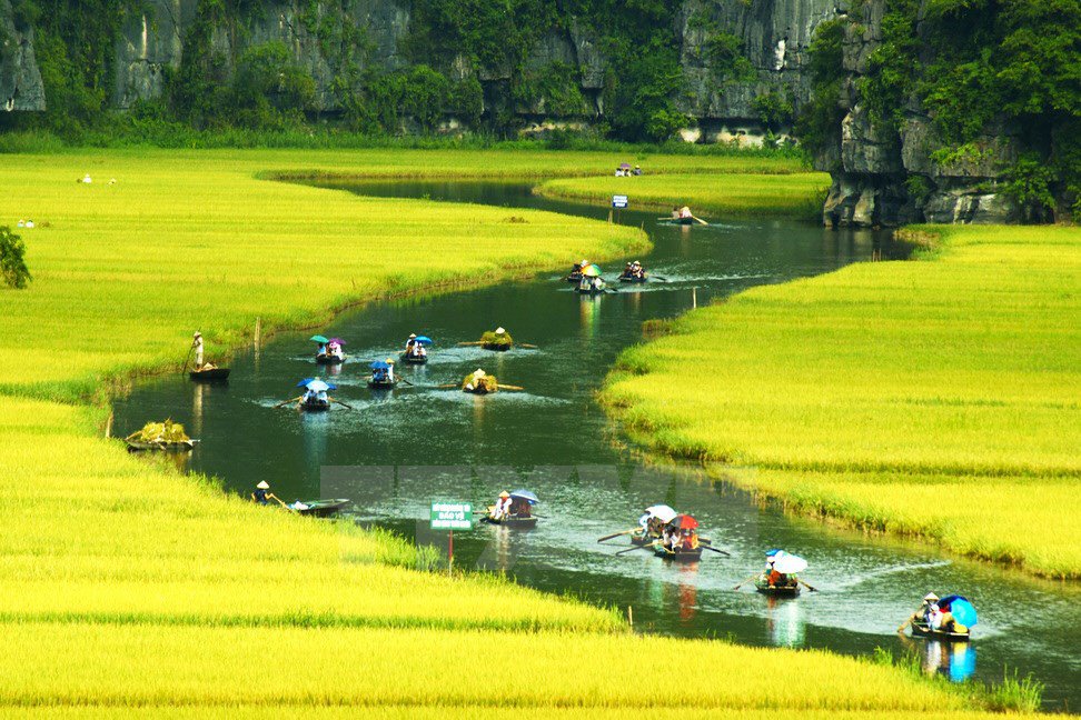 Việt Thiên Tâm