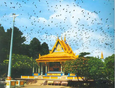 Việt Thiên Tâm