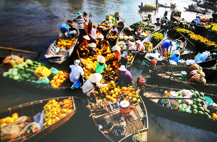 Việt Thiên Tâm