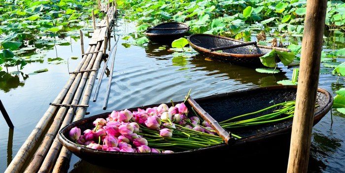 Việt Thiên Tâm