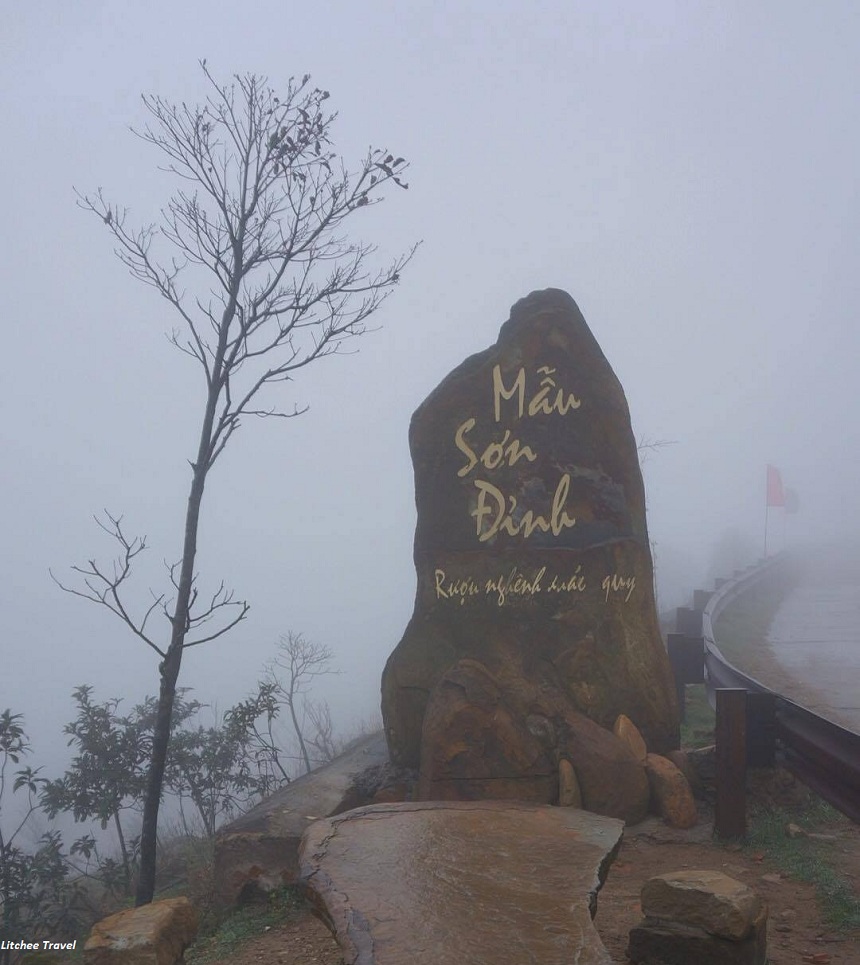Việt Thiên Tâm