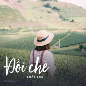 Tour Hà Nội – Mộc Châu- Sơn La- Điện Biên 4 Ngày 3 Đêm Giá  Rẻ Bất Ngờ