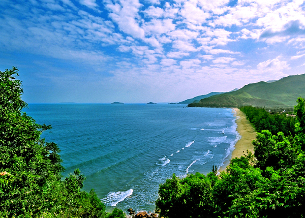 Việt Thiên Tâm