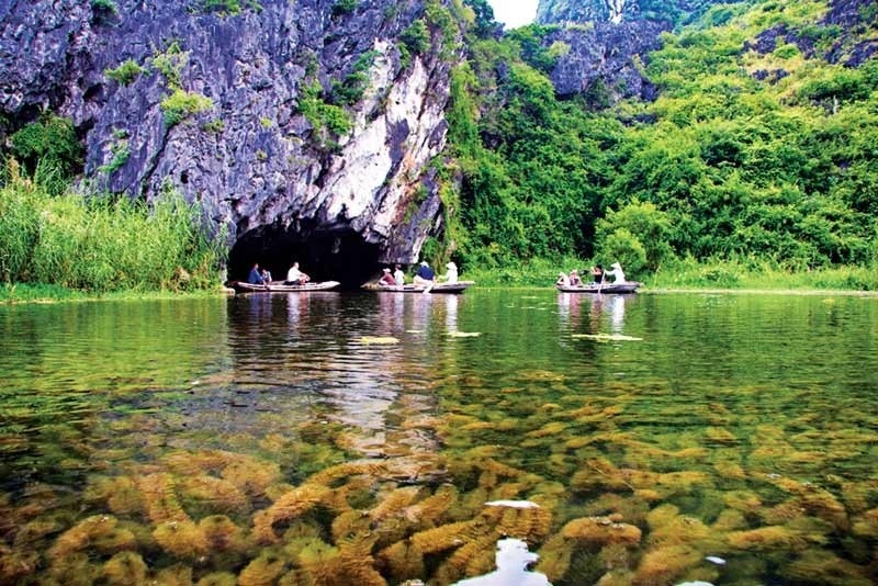 Việt Thiên Tâm