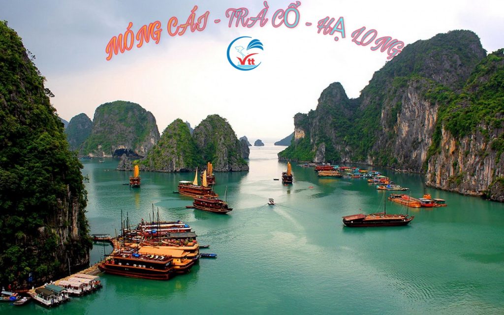 Tour Hà Nội – Móng Cái – Trà Cổ  – Hạ Long siêu rẻ chất lượng