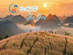 Tour ghép Hà Nội Hà Giang – Rực rỡ mùa hoa tam giác mạch