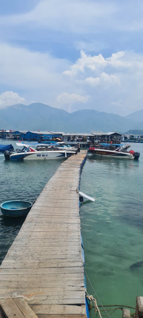 Việt Thiên Tâm